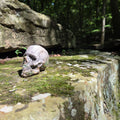 Forgotten- Advantage of the Ancients